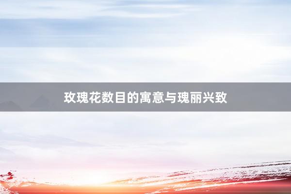 玫瑰花数目的寓意与瑰丽兴致