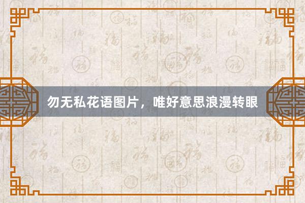 勿无私花语图片,唯好意思浪漫转眼