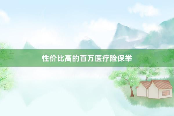 性价比高的百万医疗险保举