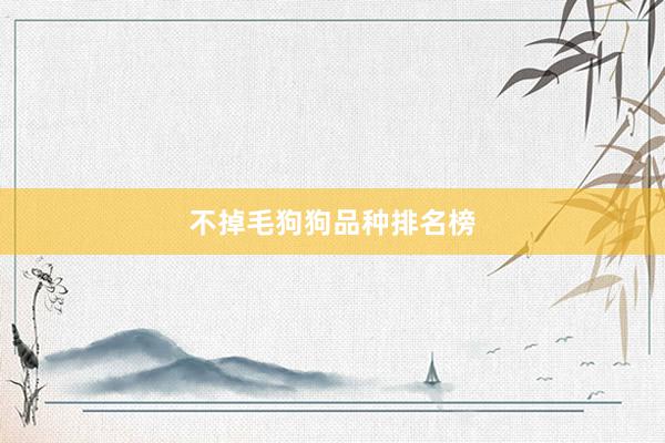 不掉毛狗狗品种排名榜