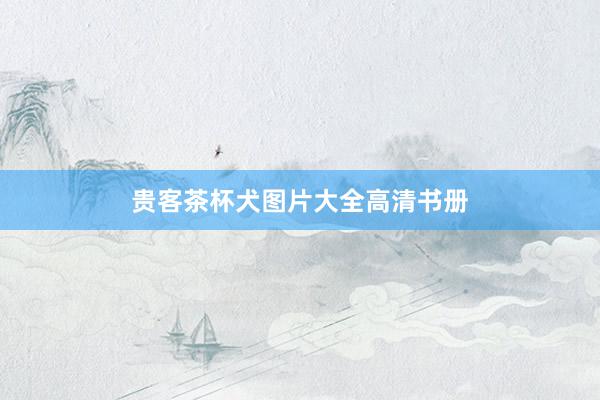 贵客茶杯犬图片大全高清书册